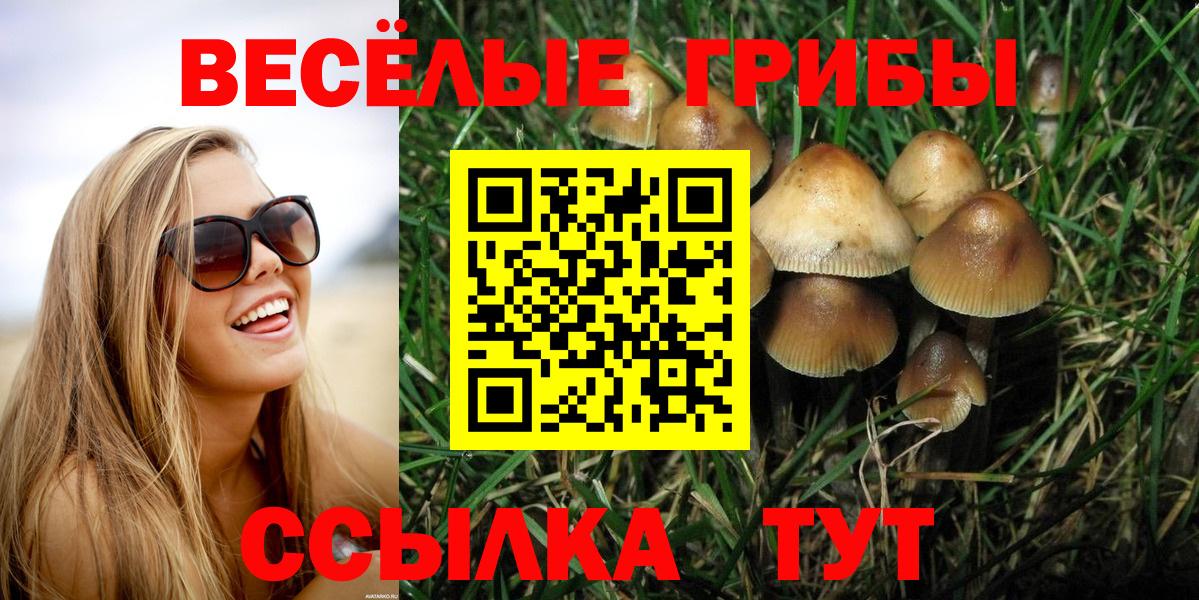 Галлюциногенные грибы прущие грибы Крымск